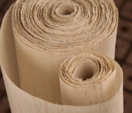 这种"荨麻草",古人造纸织布原料,号称"千年不腐",如今少见